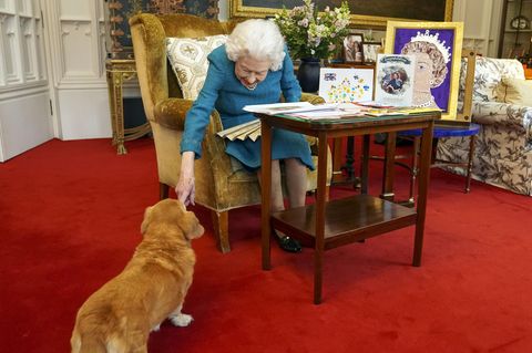 Queen Elizabeth II. streichelt von einem Sessel aus einen ihrer Corgis