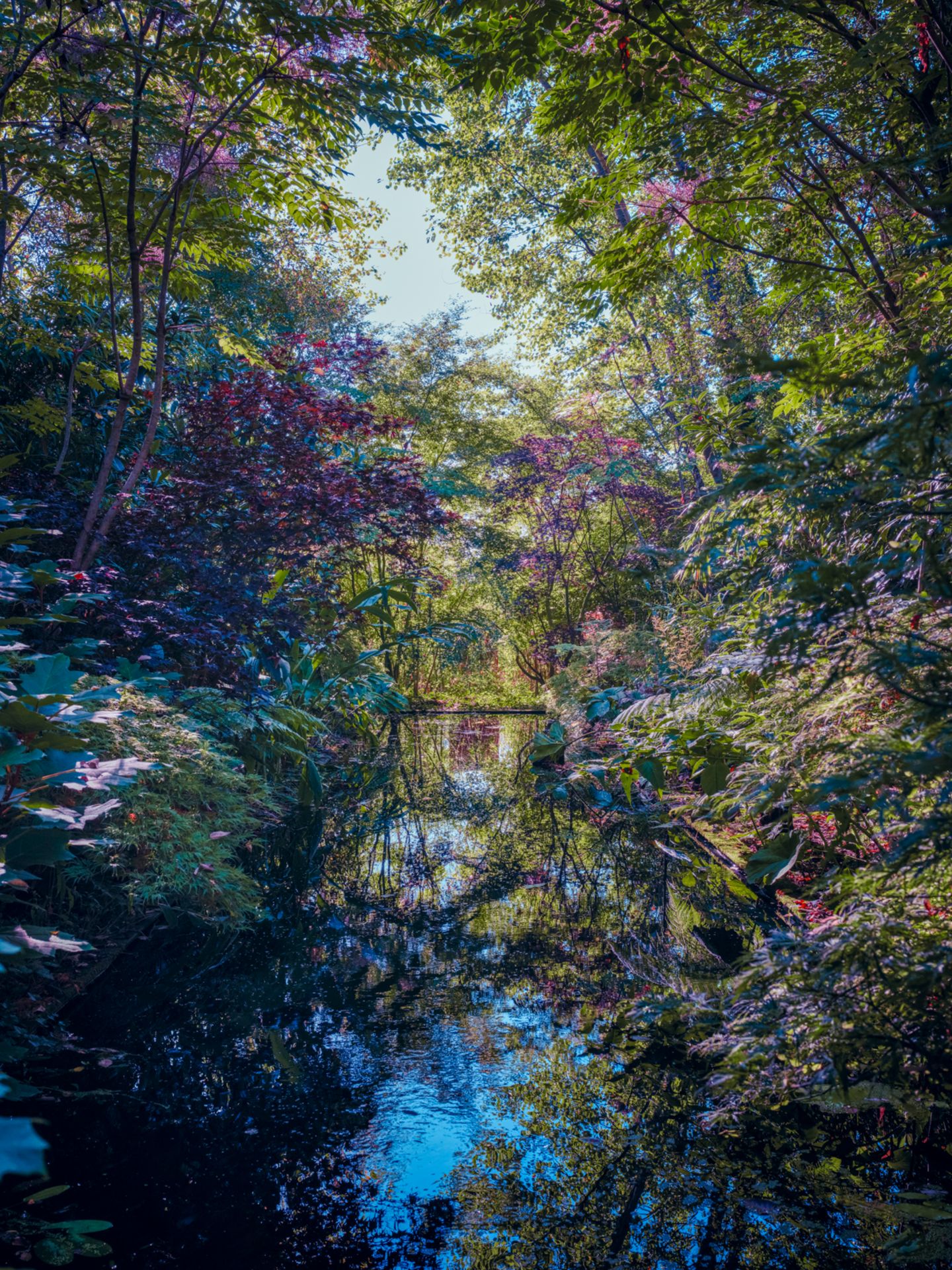 "Reflections": Auf dieser Fotografie hat Tina Trumpp die Farbenpracht eines herbstlichen Waldes festgehalten, die sich auf der Oberfläche eines Baches wiederspiegelt.