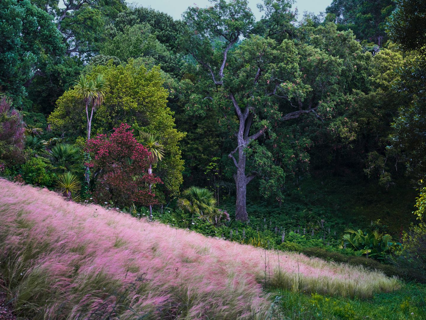 "Garden of Eden": Beim Anblick der prächtigen Natur scheint der Titel nicht übertrieben.