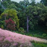 "Garden of Eden": Beim Anblick der prächtigen Natur scheint der Titel nicht übertrieben.