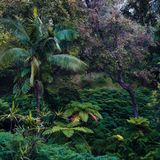 "Far Away": Diese Aufnahme entstand in einem fernen Land - und lädt den Betrachter dazu ein, sich an ferne Orte zu träumen.