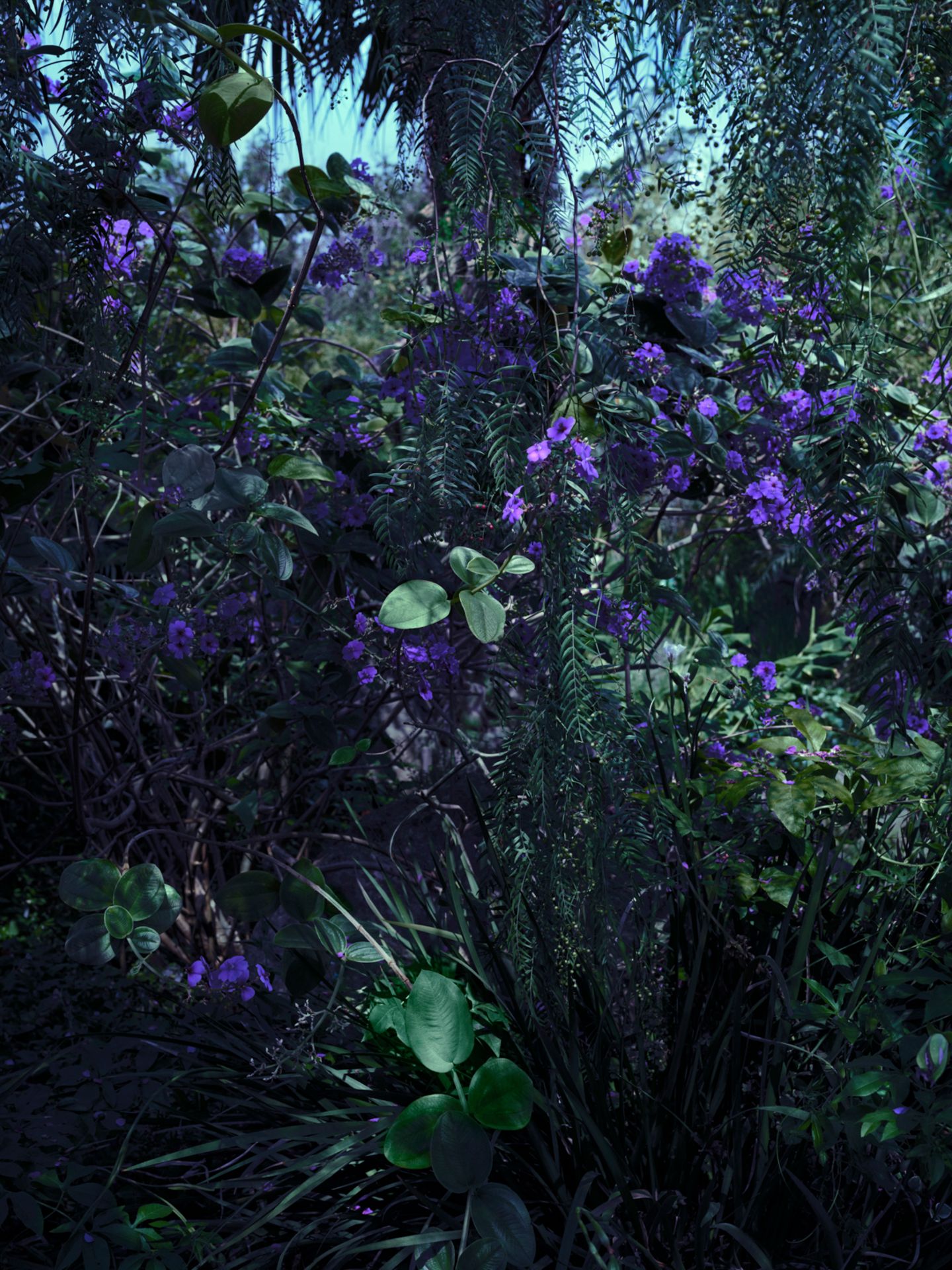 "Exotic Garden"