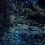 "Awakenings" - Erwachen - ist diese Fotografie betitelt.