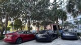 Tesla Florida