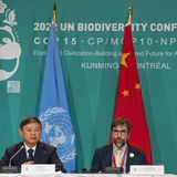 Im kanadischen Montreal einigt sich die internationale Gemeinschaft im Dezember 2022 auf ein Artenschutzabkommen. Es sieht vor, bis 2030 insgeamt 30 Prozent der Landflächen und der Meeresgebiete der Erde unter Schutz zu stellen. Das rapide Artensterben, das eng mit der Klimakrise zusammenhängt, soll gestoppt werden. Huang Runqiu (l.), Präsident der COP 15 und Minister für Ökologie und Umwelt von China, hört zu, während Steven Guilbeault, Minister für Umwelt und Klimawandel von Kanada, auf einer Pressekonferenz spricht.