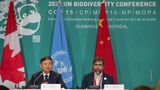 Im kanadischen Montreal einigt sich die internationale Gemeinschaft im Dezember 2022 auf ein Artenschutzabkommen. Es sieht vor, bis 2030 insgeamt 30 Prozent der Landflächen und der Meeresgebiete der Erde unter Schutz zu stellen. Das rapide Artensterben, das eng mit der Klimakrise zusammenhängt, soll gestoppt werden. Huang Runqiu (l.), Präsident der COP 15 und Minister für Ökologie und Umwelt von China, hört zu, während Steven Guilbeault, Minister für Umwelt und Klimawandel von Kanada, auf einer Pressekonferenz spricht.
