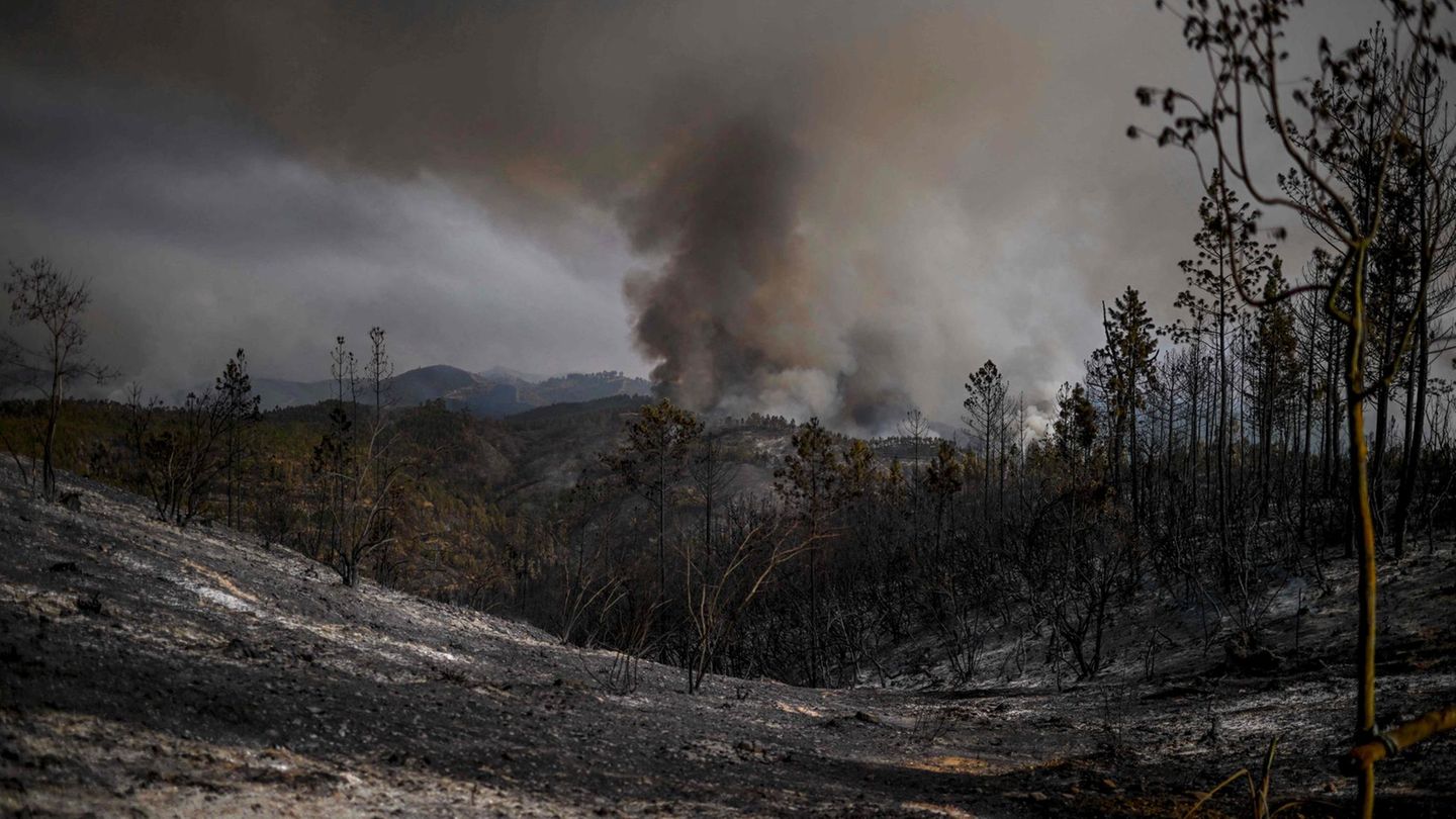 Nicht nur dieser Waldbrand in Portugal ist ein Zeichen: Der Weltklimarat warnt in seinem sechsten Sachstandsbericht, dass die 1,5-Grad-Grenze bereits im Zeitraum 2030 bis 2035 erreicht werden wird - mit entsprechenden verheerenden Folgen. Der europäische Erdbeobachtungsdienst Copernicus registriert im Sommer 2023 die höchsten globalen Temperaturen, die je im Zeitraum Juni bis August gemessen wurden.