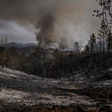 Nicht nur dieser Waldbrand in Portugal ist ein Zeichen: Der Weltklimarat warnt in seinem sechsten Sachstandsbericht, dass die 1,5-Grad-Grenze bereits im Zeitraum 2030 bis 2035 erreicht werden wird - mit entsprechenden verheerenden Folgen. Der europäische Erdbeobachtungsdienst Copernicus registriert im Sommer 2023 die höchsten globalen Temperaturen, die je im Zeitraum Juni bis August gemessen wurden.