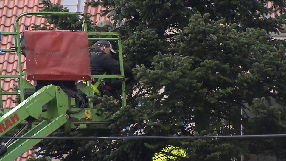 Missglückte Tanne: Oben hui, unten pfui – Hannoveraner spotten über hässlichsten Weihnachtsbaum der Stadt