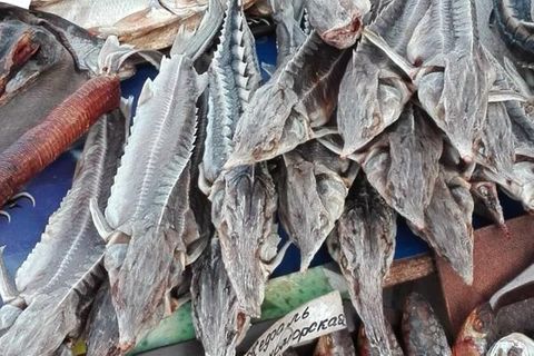 Große Störe auf einem osteuropäischen Fischmarkt