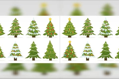 Weihnachtliches Suchbild: Augentest: Finden Sie die Fehler zwischen den geschmückten Tannenbäumen?