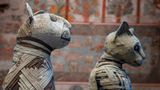 Im alten Ägypten wurden Katzen-Mumien der Göttin Bastet als Opfer dargebracht. Paradoxerweise wurde damals vielen Katzen die Verehrung ihrer Art zum Verhängnis: Denn speziell für die Mumienproduktion züchtete man Katzen, tötete sie in Massen und balsamierte sie ein. Pilger kauften diese Mumien – für deren Hersteller ein einträgliches Geschäft.