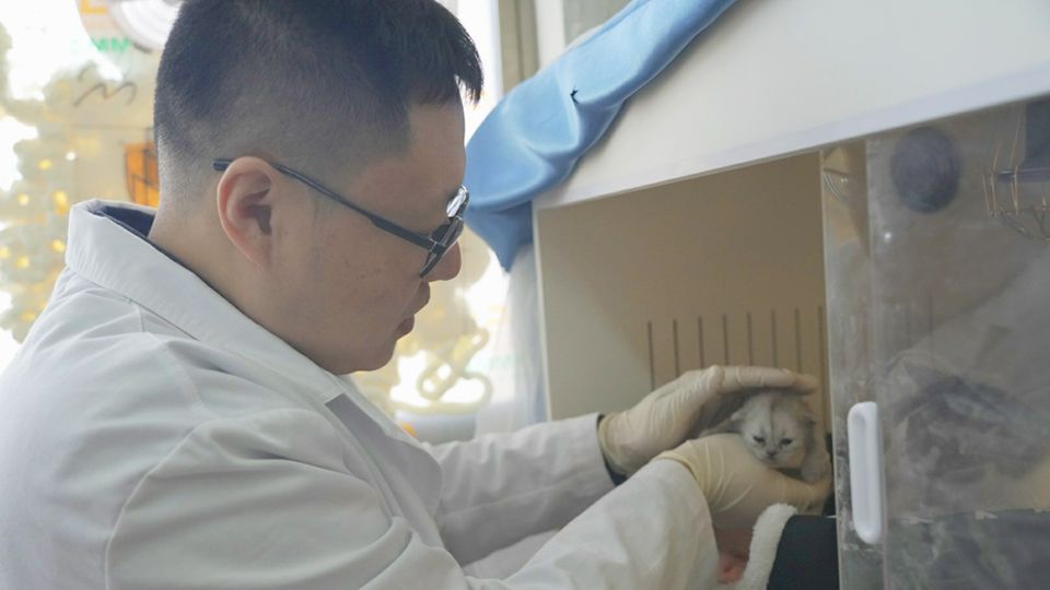 Mediziner Zhao Minghui mit seiner ersten Klonkatze Pingan – durch sie wurde bei Minghui eine Katzenhaarallergie diagnostiziert.