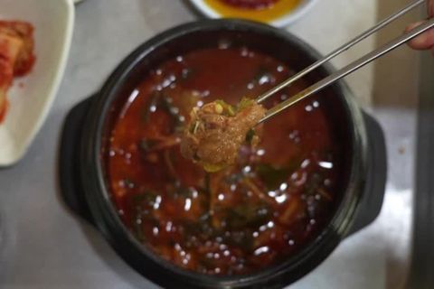 Video: Südkorea will Verzehr von Hundefleisch verbieten