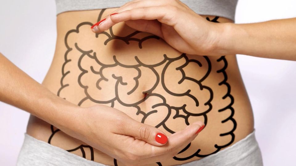 Darmgesundheit: Wie sich der Darm auf unsere Emotionen auswirkt
