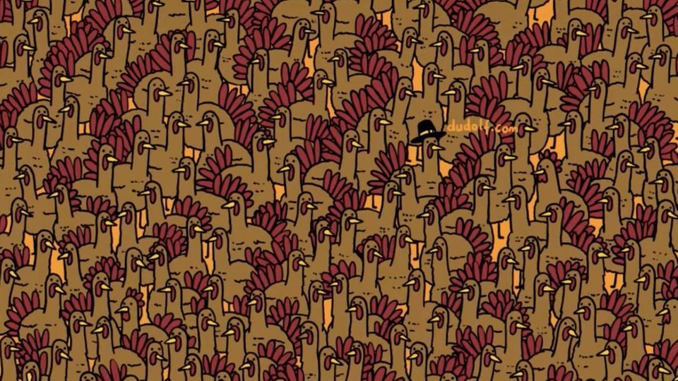 Suchbild