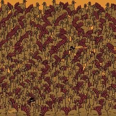 Suchbild: Augentest: Finden Sie die versteckten Hähne unter den Truthähnen in 15 Sekunden?