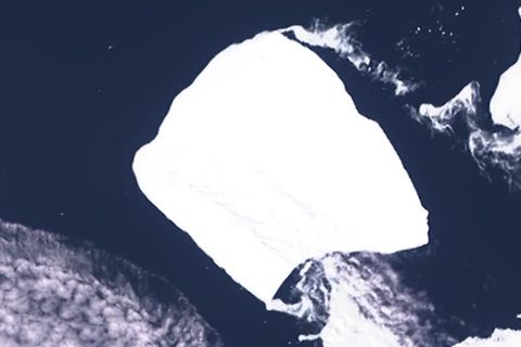 Antarktis: Weltgrößter Eisberg hat sich vom Meeresboden gelöst und treibt Richtung Afrika