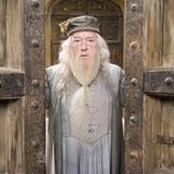Gambon kannte man aus den "Harry Potter"-Filmen mit langem Bart, grauen Haaren und sanftem Blick. Er spielte Albus Dumbledore, den Leiter der Zauberschule Hogwarts. Die Rolle war in den ersten beiden Filmen von Richard Harris verkörpert worden. Nach Harris' Tod im Jahre 2002 hatte Gambon den wichtigen Part übernommen. Die Filme beruhen auf den Büchern von Autorin J.K. Rowling, die darin von einer magischen Welt erzählt. Die Figur Dumbledore nimmt darin den jungen Magier Harry Potter unter ihre Fittiche, nachdem dessen Eltern im Kampf gegen den bösen Voldemort ums Leben gekommen sind. Gambon starb am 27. September im Alter von 82 Jahren.