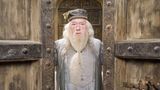 Gambon kannte man aus den "Harry Potter"-Filmen mit langem Bart, grauen Haaren und sanftem Blick. Er spielte Albus Dumbledore, den Leiter der Zauberschule Hogwarts. Die Rolle war in den ersten beiden Filmen von Richard Harris verkörpert worden. Nach Harris' Tod im Jahre 2002 hatte Gambon den wichtigen Part übernommen. Die Filme beruhen auf den Büchern von Autorin J.K. Rowling, die darin von einer magischen Welt erzählt. Die Figur Dumbledore nimmt darin den jungen Magier Harry Potter unter ihre Fittiche, nachdem dessen Eltern im Kampf gegen den bösen Voldemort ums Leben gekommen sind. Gambon starb am 27. September im Alter von 82 Jahren.