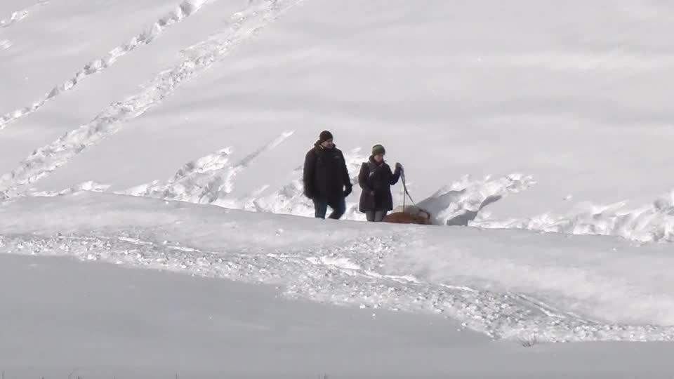 Video: Kälteeinbruch bringt Deutschland viel Schnee