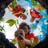 Junge Mädchen pflanzen Setzlinge für Bäume