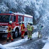 Dreis-Tiefenbach, Nordrhein-Westfalen. Auch die Feuerwehr ist häufig gefragt. Hier beseitigen Feuerwehrleute einen schneebedeckten Ast, der zu weit über die Straße ragt.