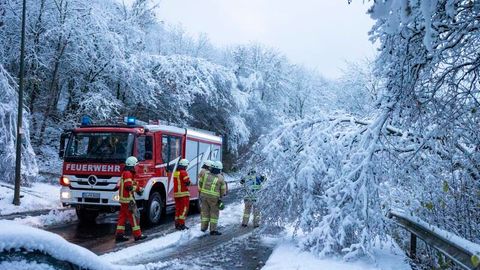 Dreis-Tiefenbach, Nordrhein-Westfalen. Auch die Feuerwehr ist häufig gefragt. Hier beseitigen Feuerwehrleute einen schneebedeckten Ast, der zu weit über die Straße ragt.