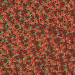 Schweres Suchbild: Augentest: Finden Sie die Rosen unter den Weihnachtssternen?