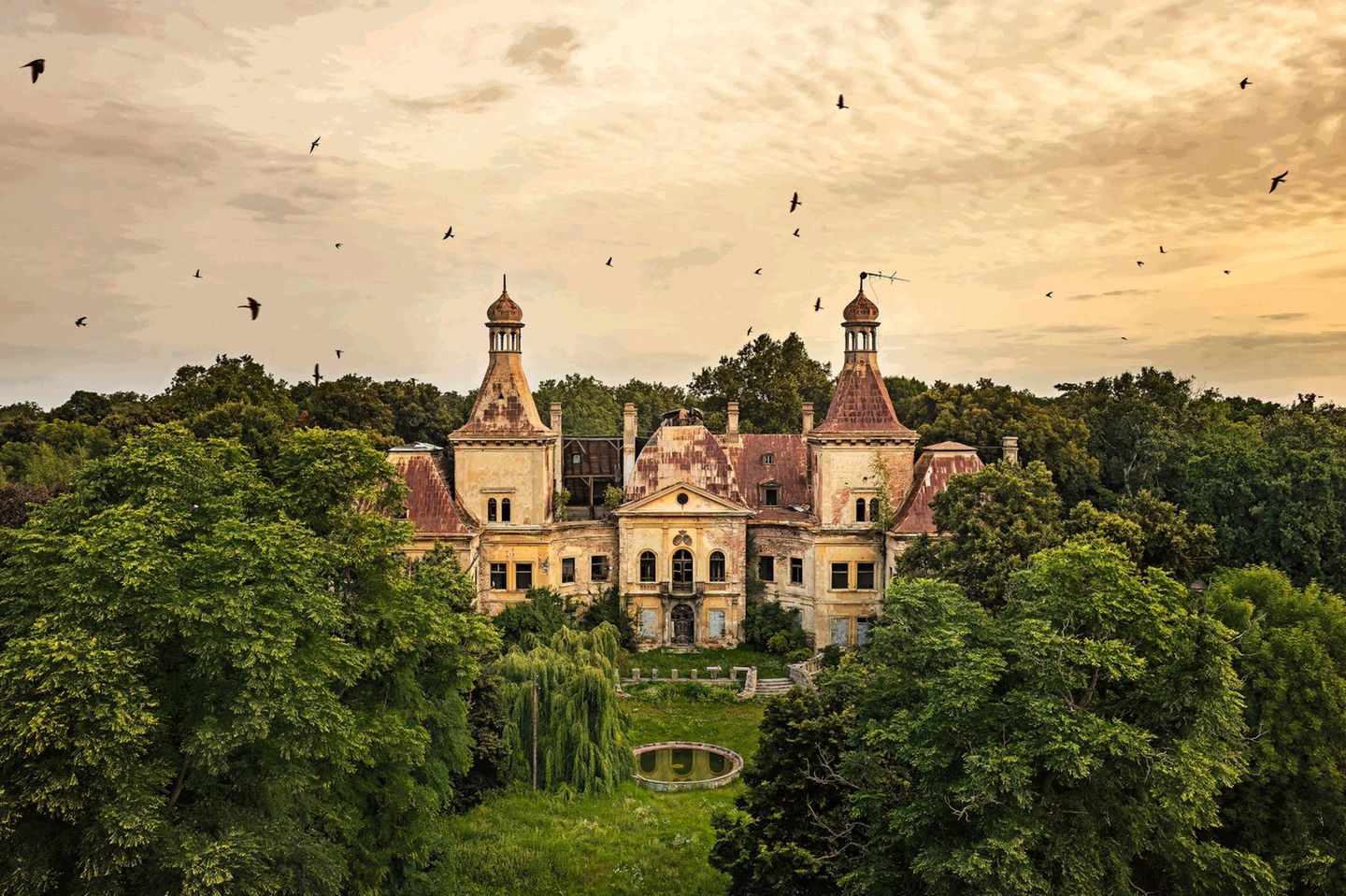 Über einem alten Schloss fliegen Vögel im Morgenlicht Über einem alten Schloss fliegen Vögel im Morgenlicht