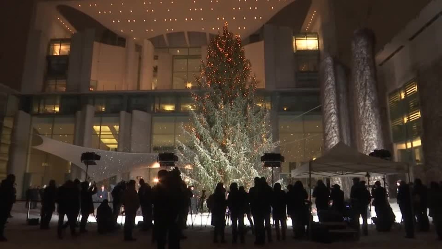 Video: Weihnachtsbaum für den Kanzler