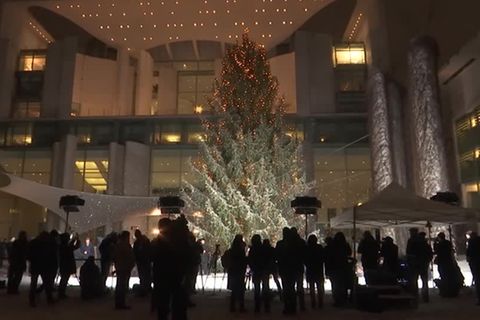 Video: Weihnachtsbaum für den Kanzler
