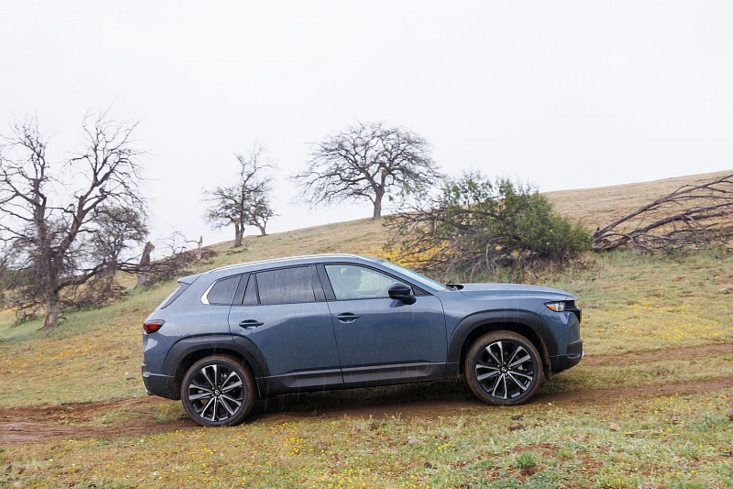 Mazda CX-50 2.5 Turbo