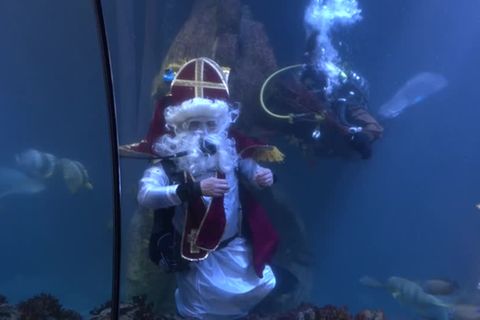 Video: Nikolaus will abtauchen