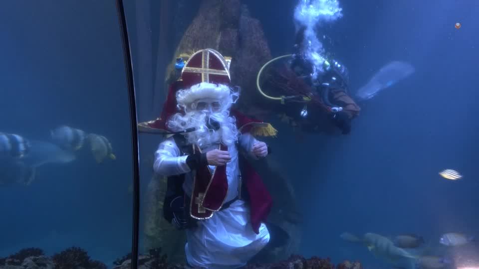 Video: Nikolaus will abtauchen