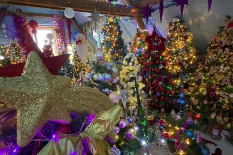 Video: 555 Weihnachtsbäume im Haus: Ehepaar schafft neuen Weltrekord