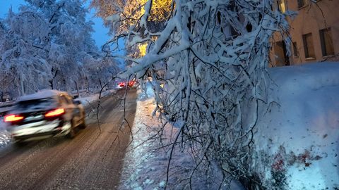 Ein durch die Schneelast abgebrochener Ast hängt über einem Auto in Süddeutschland