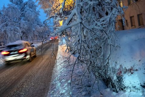 Ein durch die Schneelast abgebrochener Ast hängt über einem Auto in Süddeutschland
