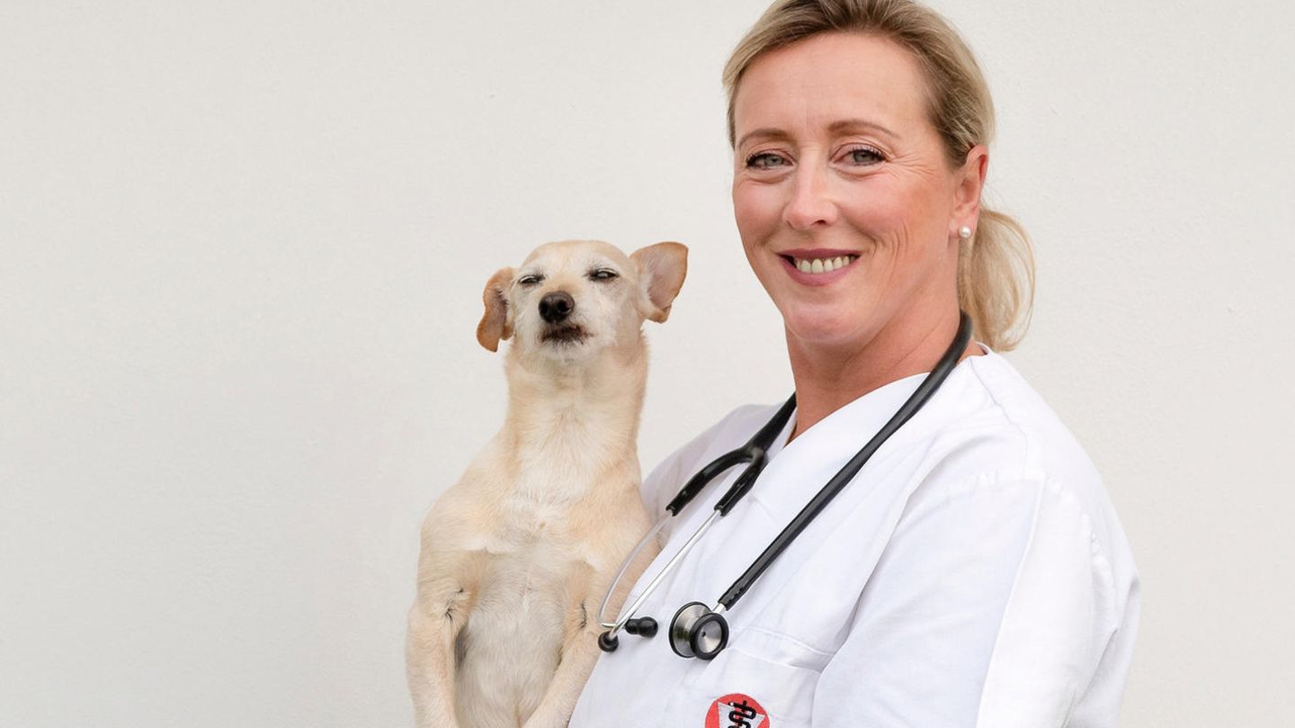 Stephanie Petersen ist Tierärztin auf Sylt