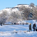Zahlreiche Menschen nutzten das schöne Wetter im Münchner Olympiapark für einen Spaziergang oder eine Schlittenfahrt.
