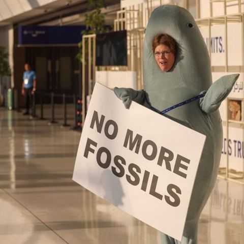 Auf der Klimakonferenz COP28 protestiert eine Frau im Tierkostüm für den schnellen Ausstieg aus fossilen Brennstoffen