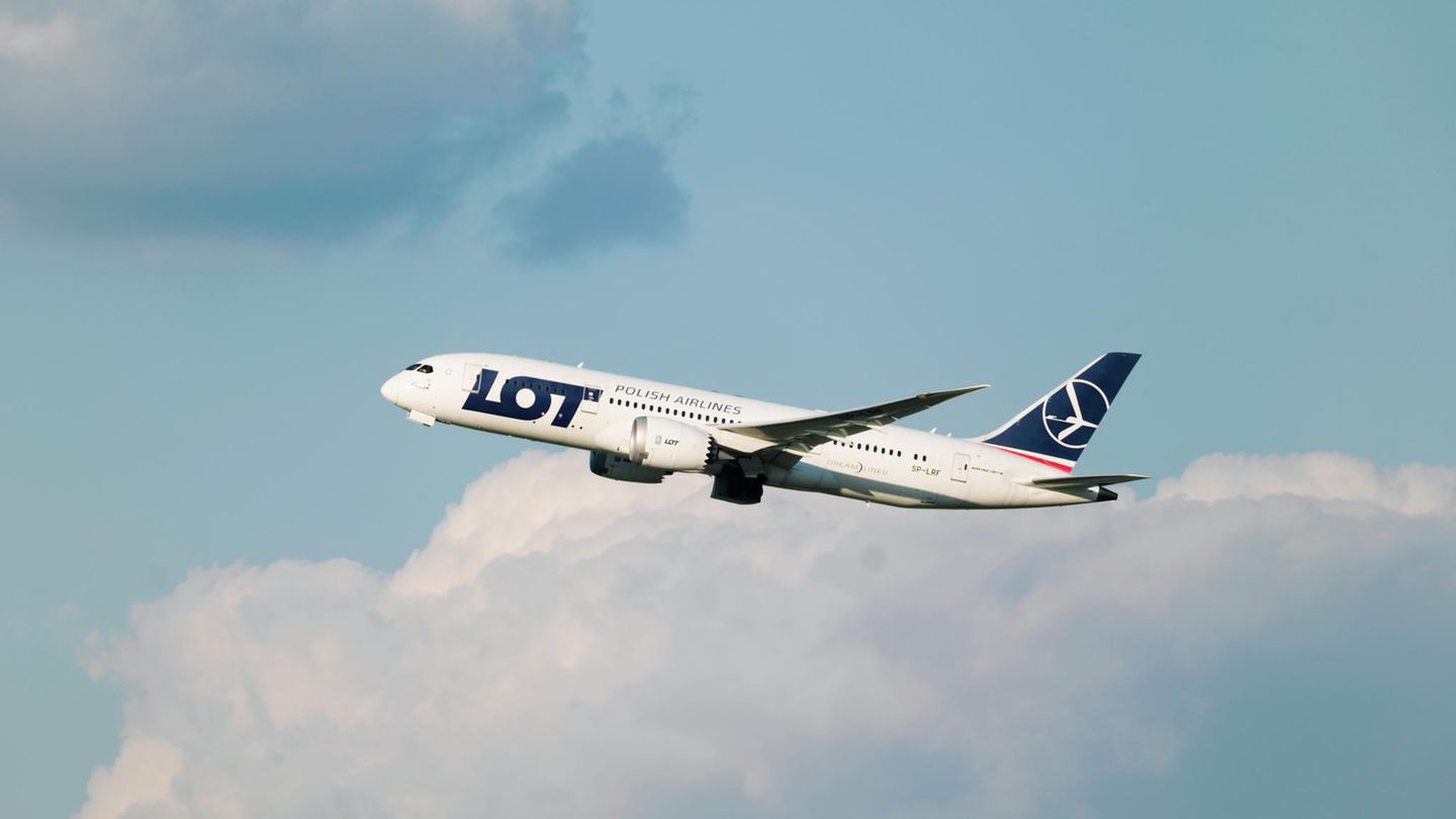Die größte polnische Fluggesellschaft kommt bei Passagieren offenbar gut an: LOT Polish Airlines belegt den dritten Platz im Ranking. Mit einer Flottenstärke von 73 Fliegern steuert die Airline heute Ziele auf der ganzen Welt an – darunter auch viele Städte in Deutschland oder Fernziele in Kanada und den USA an