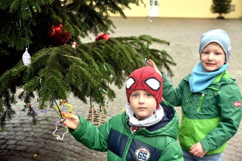 Für viele Familien gehört der Weihnachtsbaum zur Adventszeit. Eine Hamburger Kita möchte trotzdem keinen mehr aufstellen.