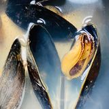 Diese Assoziation ist schon naheliegender: Eine Miesmuschel erinnert viele Menschen an eine Vulva