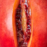 Yaroslav Danylchenko/ Dumont