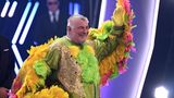 2019 nahm Heinz Hoenig an der ersten Staffel der ProSieben-Show "The Masked Singer" teil. Er war der Kakadu und offenbarte eine Vorliebe für alte Kracher: Er sang Joe Cockers "You Are so Beautiful", Tom Jones' "She's a Lady" und "Behind Blue Eyes" von The Who. Nicht alle waren von seinen Gesangsqualitäten überzeugt: Hoenig wurde als Dritter aus der Sendung gewählt.
