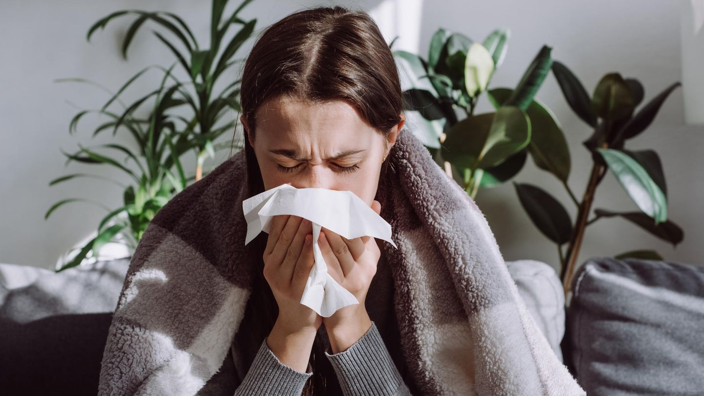 Neue Regelung: Bei leichten Erkrankungen kann man sich jetzt wieder telefonisch krankschreiben lassen Bei leichten Erkrankungen kann man sich jetzt wieder telefonisch krankschreiben lassen