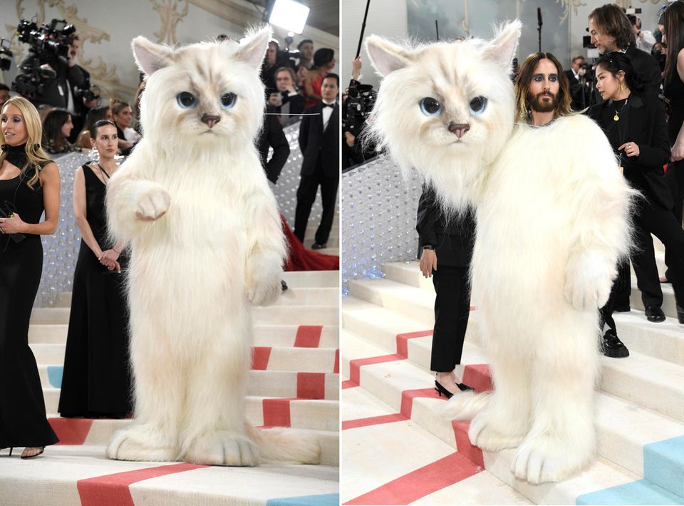 Musiker Jared Leto in einem Katzenkostüm bei der Met Gala im Mai 2023 Musiker Jared Leto in einem Katzenkostüm bei der Met Gala im Mai 2023