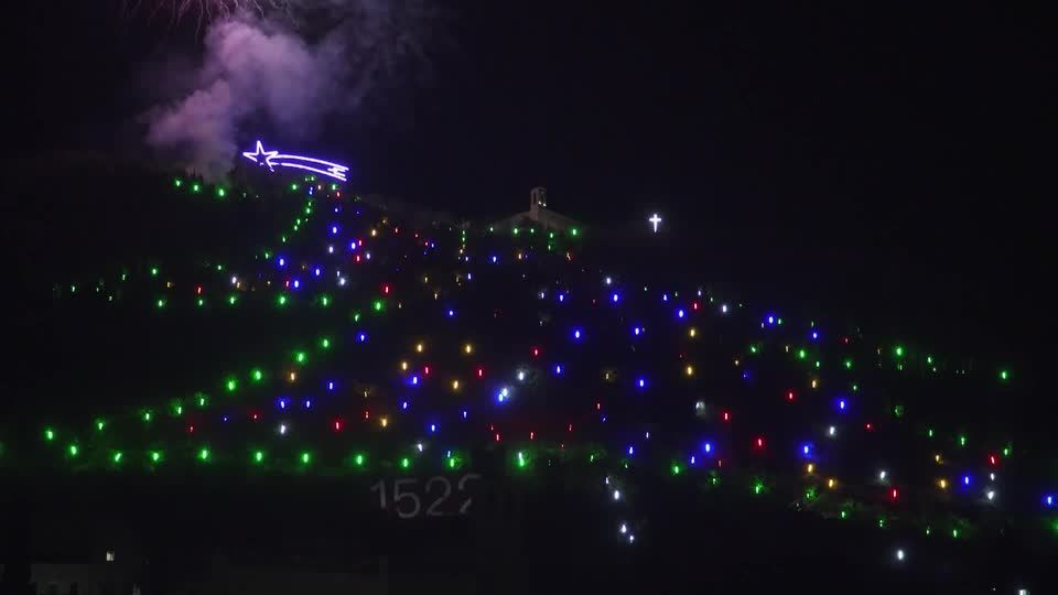 Video: Laut Guinness Buch der Rekorde: Größter Weihnachtsbaum der Welt