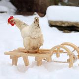 Ein Huhn sitzt auf einem Schlitten